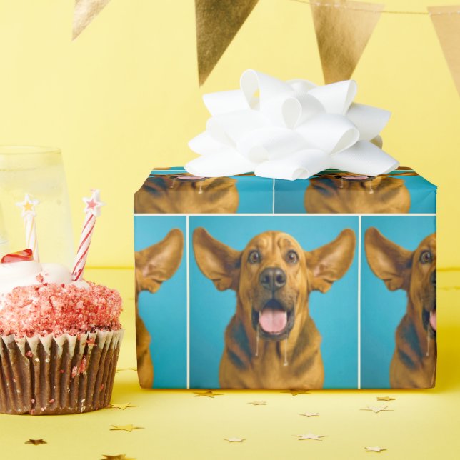 Papier Cadeau Drooling Bloodhound With Surprised Expression (Fête d'anniversaire)