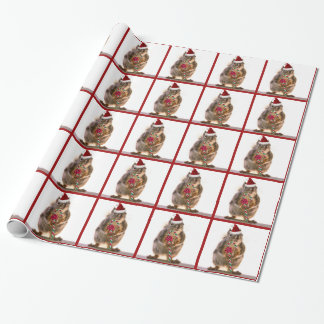 Papier Cadeau Écureuil de Noël avec du sucre de canne