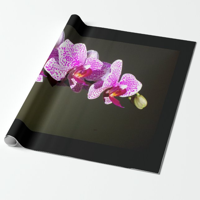 Papier Cadeau Elégante orchidée rose tropicale photo florale (Déroulé)