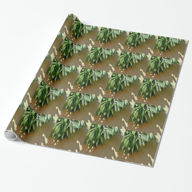 Papier Cadeau Élégante plante verte feuille herbes fraîches coup (Déroulé)