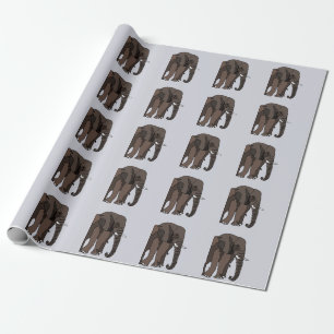 Papier Cadeau Élément Animal 
