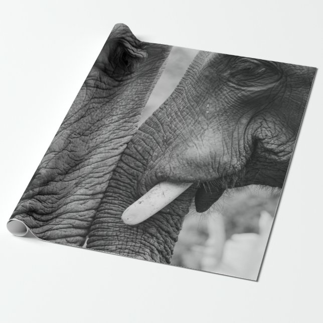 PAPIER CADEAU ELEPHANT COUPLE (Déroulé)