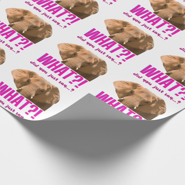 Papier Cadeau Éléphant Qu'avez-vous dit ? (Coin)