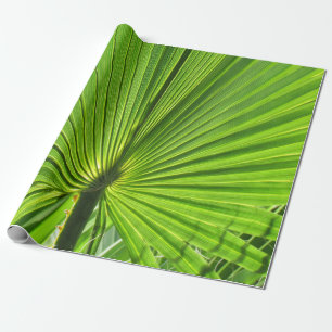 Papier Cadeau Emballage-cadeau - Feuille de palmier
