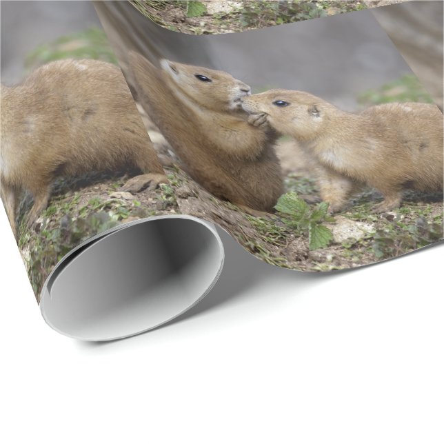 Papier Cadeau Embrasse-moi papier à embrayage rapide (Coin rond)