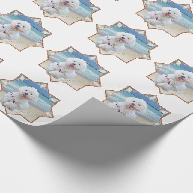 Papier Cadeau En liberté (Coin)