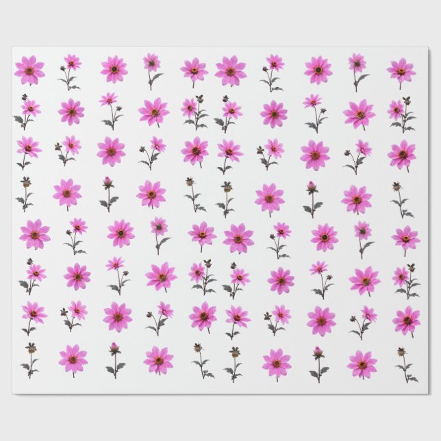 Papier Cadeau Ensemble botanique de fleurs de cosmos rose Fleurs (Plat)