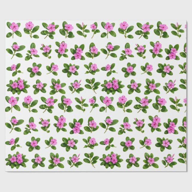 Papier Cadeau Ensemble botanique de fleurs de pervenche rose Sad (Plat)