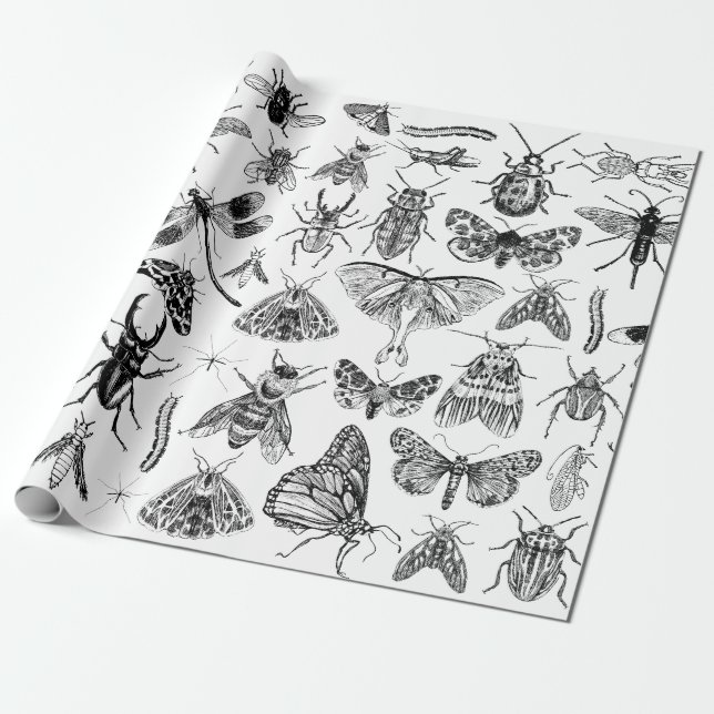 Papier Cadeau Entomologie Papier Bugs Insectes Enveloppement Cad (Déroulé)