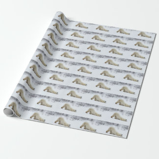 Papier Cadeau Enveloppe cadeau Ours Polaires