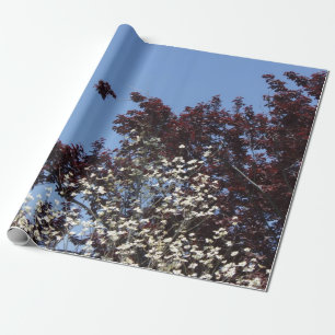 Papier Cadeau Enveloppe de cadeau blanche et bleue rouge de