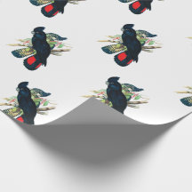 Enveloppe de cadeau noire de cacatoès