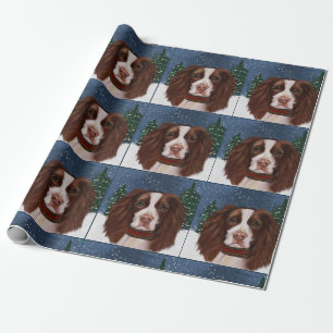 PAPIER CADEAU EPAGNEUL SPRINGER ANGLAIS