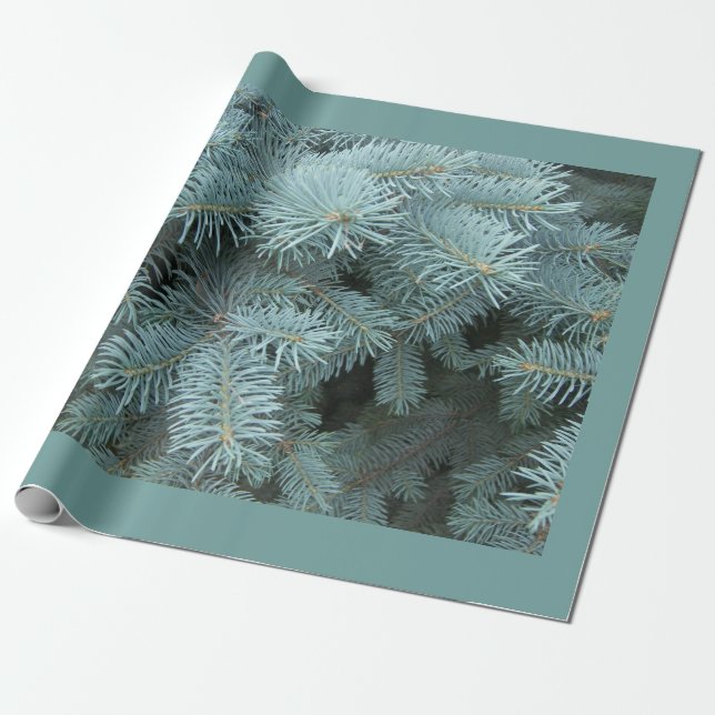 Papier Cadeau Épinette bleue nature rustique gris vert (Déroulé)