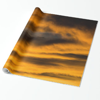 Papier Cadeau épuisement des aigles