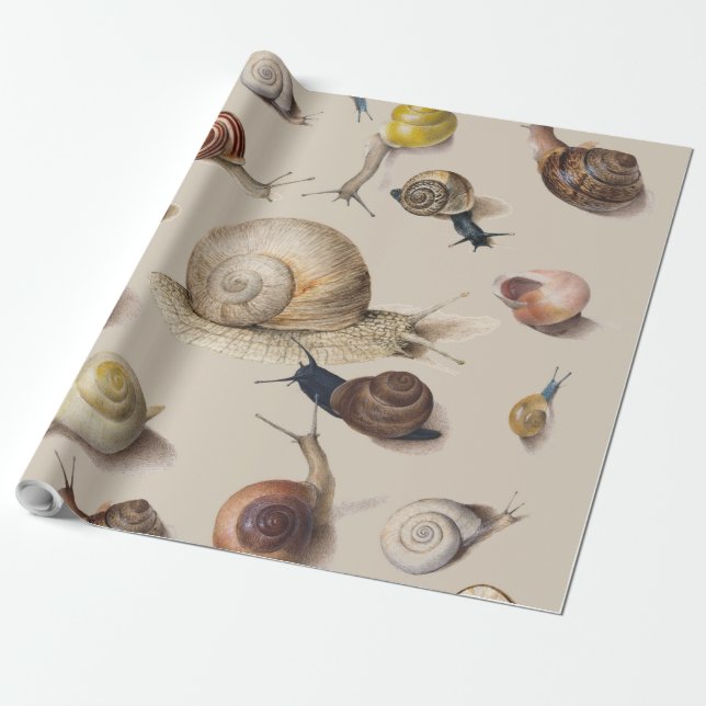 Papier Cadeau Escargot Limace Jardin Animal de compagnie Gastéro (Déroulé)