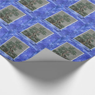 Papier Cadeau Et Une Porcupine Dans Un Pin Tree