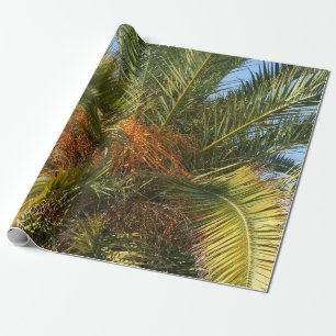 Papier Cadeau été, palmier, feuille, tropical, arbre, nature, pl