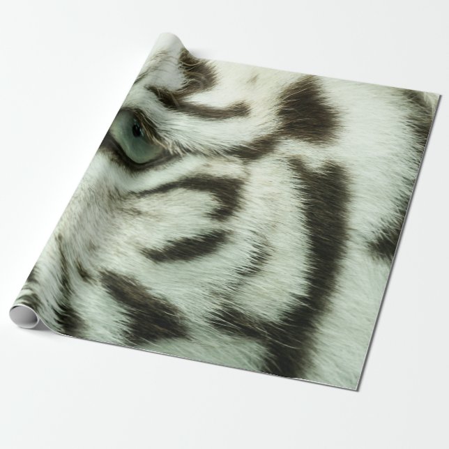 PAPIER CADEAU FACE DU TIGRE BLANC (Déroulé)