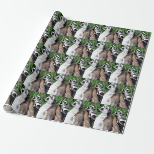Papier Cadeau Famille Lemur à queue de ceinture