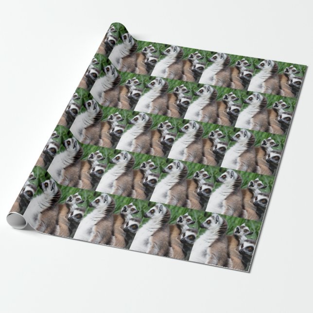 Papier Cadeau Famille Lemur à queue de ceinture (Déroulé)