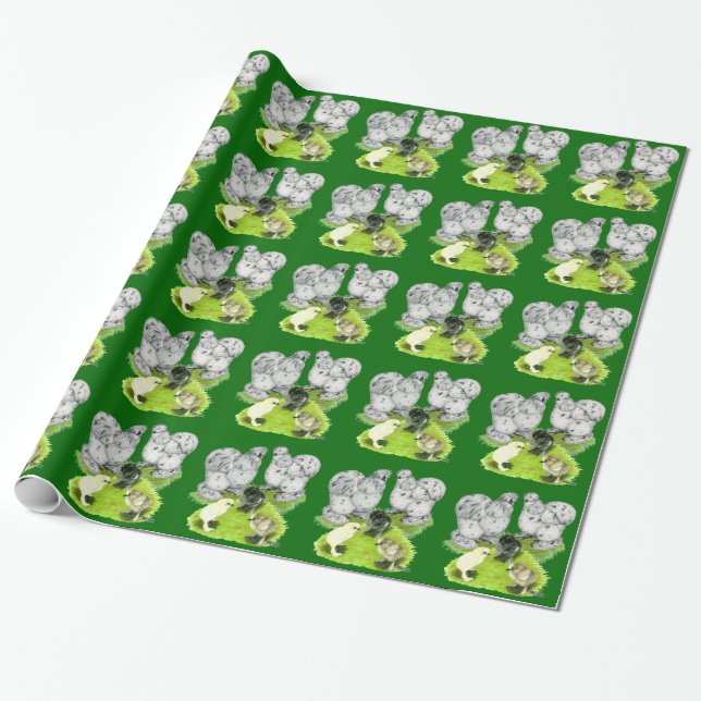 Papier Cadeau Famille Silkie Bantam Splash (Déroulé)