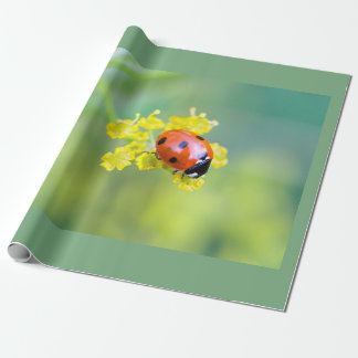 Papier Cadeau femme au sommet