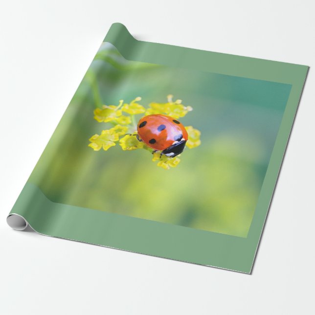 Papier Cadeau femme au sommet (Déroulé)