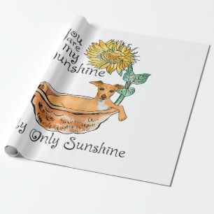 Papier Cadeau Femme Vous Êtes Mon Soleil Italien Greyhound