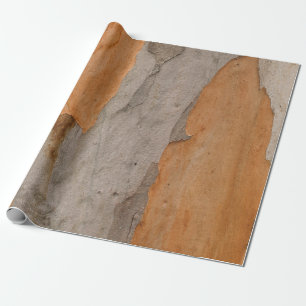 Papier Cadeau Fermer la photo du tronc d'arbre