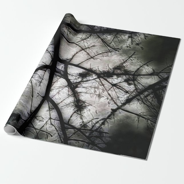 Papier Cadeau Fermeture (Déroulé)