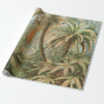 Papier Cadeau Ferns, Filicinae Laubfarne par Ernst Haeckel<br><div class="desc">Ferns,  Filicinae Laubfarne par Ernst Haeckel Papier de recouvrement</div>