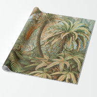 Ferns, Filicinae Laubfarne par Ernst Haeckel