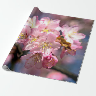 Papier Cadeau Festival Des Fleurs De Sakura Rose