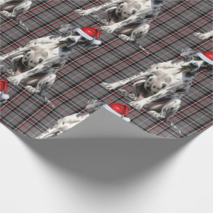 Papier Cadeau Festive Red Plaid et Great Dane Dog Noël