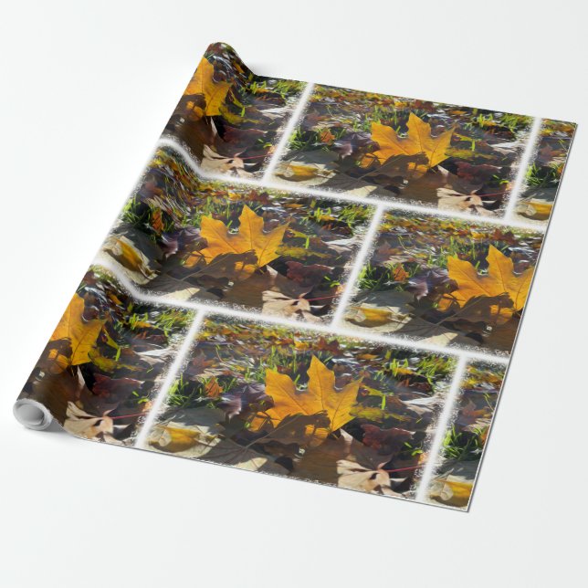 Papier Cadeau Feuille d'automne au soleil (Déroulé)