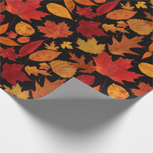 Papier Cadeau Feuille d'automne sur le noir (Coin)