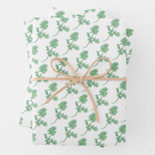Papier Cadeau Feuille de céleri