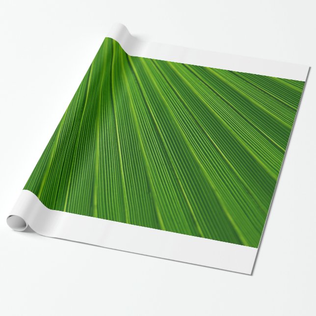 Papier Cadeau Feuille de palmier (Déroulé)