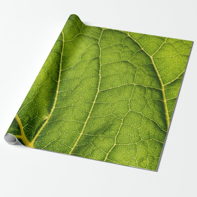 Papier Cadeau Feuille verte (Déroulé)