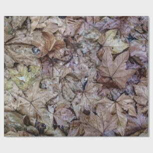 Papier Cadeau Feuilles d'automne impression de tapisserie