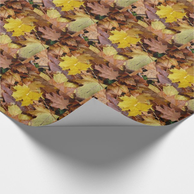 Papier Cadeau Feuilles de Érable Tombées Jaune Automne Nature (Coin)