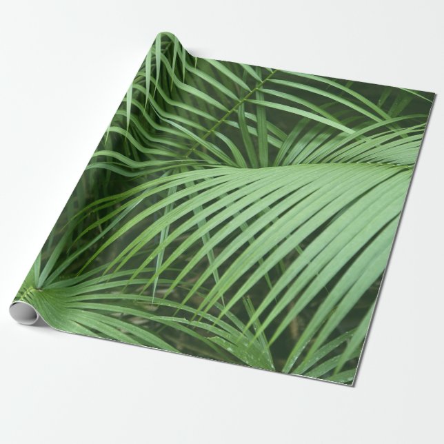 Papier Cadeau Feuilles de palmier vertes thème nature (Déroulé)