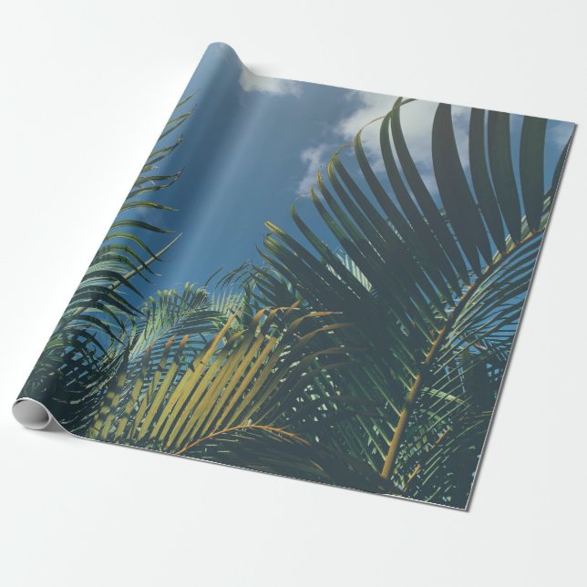 PAPIER CADEAU FEUILLES DE PALMIERS TROPICAUX (Déroulé)
