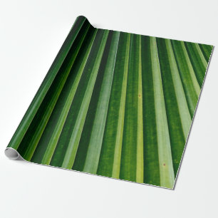 Papier Cadeau Feuilles de palmiers verts