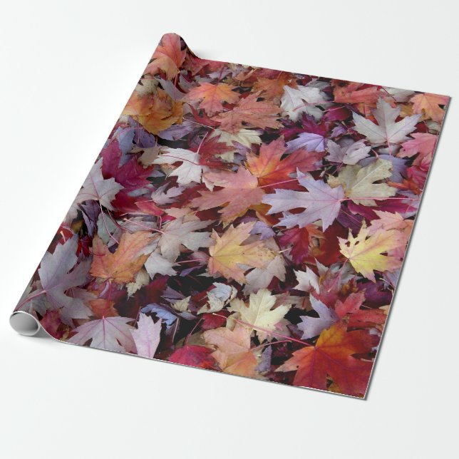 Papier Cadeau Feuilles des arbres d'automne tombés (Déroulé)
