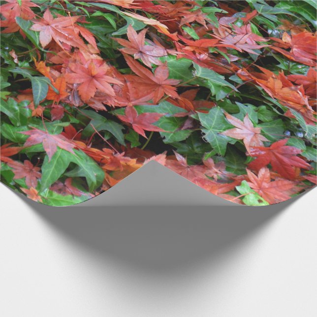 Papier Cadeau Feuilles - Rouges et Vertes  (Coin)