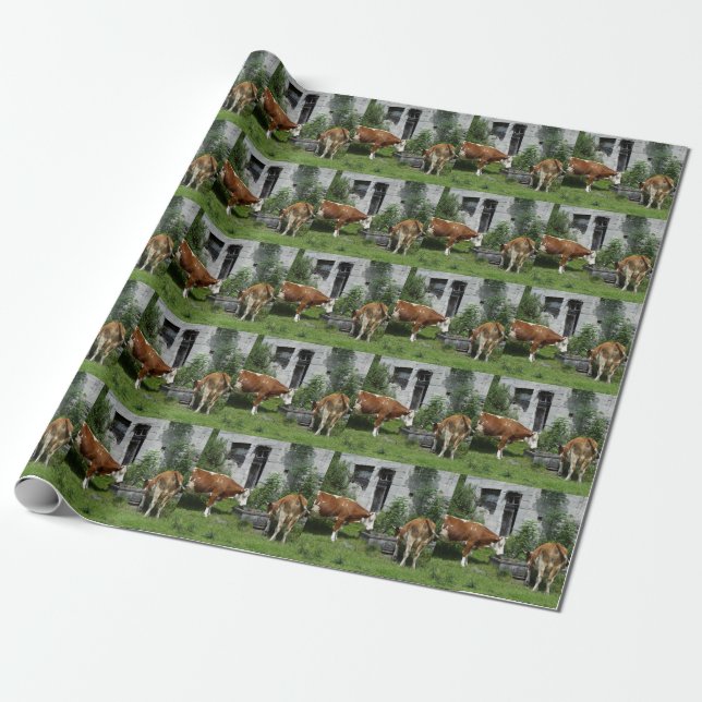 Papier Cadeau Fleckvieh soif (Déroulé)