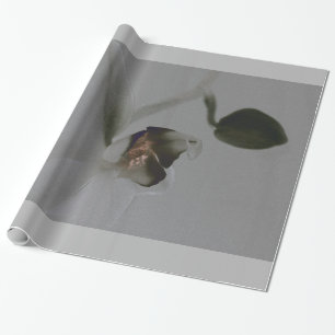 Papier Cadeau Fleur artistique dans les tons gris