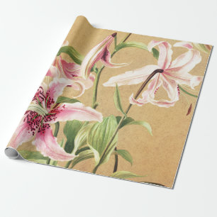 Papier Cadeau Fleur Botanique Art Déco Lys Oriental Rose Vintage